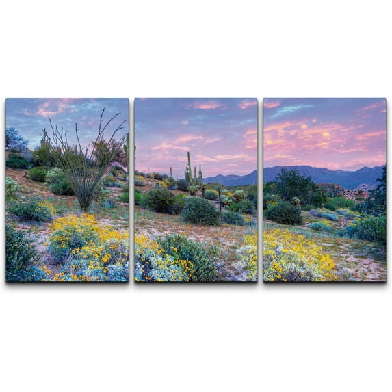 wall26 - Blooming Desert at Sunset - Canvas Art Wall Art - 16"x24"x3 Panels
