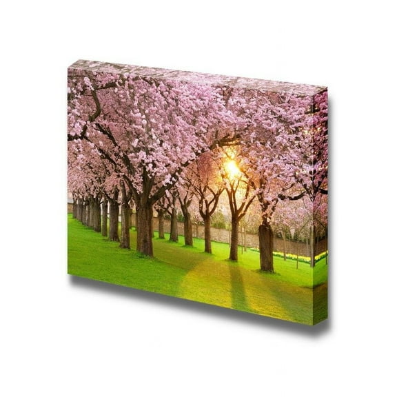 wall26 Blossoming Cherry Tree Garden on a Lawn with The Sun Shining Through The Branches - Canvas Art Wall Art - 12" x 18"