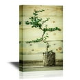 thumbnail image 1 of wall26 - Bonsai Canvas Wall Art - Bonsai Miniature Plant - Gallery Wrap Modern Home Art | Ready to Hang - 16x24 inches, 1 of 3
