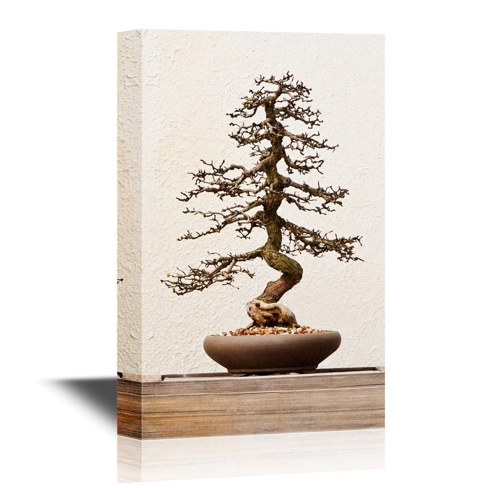wall26 Bonsai Canvas Wall Art Exotic Style Bonsai Art Gallery