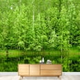 thumbnail image 1 of wall26 - Boreal Forest Reflected in River Natural Background - Removable Wall Mural | Self-Adhesive Large Wallpaper - 100x144 inches, 1 of 6