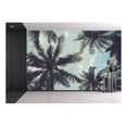 thumbnail image 1 of wall26 - Branches of Coconut Palms Under Blue Sky - Removable Wall Mural | Self-Adhesive Large Wallpaper - 100x144 inches, 1 of 6