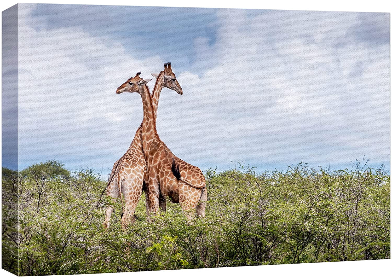 wall26 Canvas Print Wall Art African Savanna Safari Jungle Giraffe Duo ...