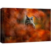 wall26 Canvas Print Wall Art Autumn Fall Orange Leaf Close Up Owl Bird Nature Animals Photography Realism Rustic Scenic Landscape Wilderness Zen Colorful for Living Room, Bedroom, Office - 24"x3