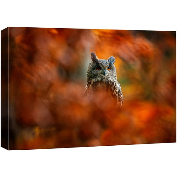 wall26 Canvas Print Wall Art Autumn Fall Orange Leaf Close Up Owl Bird Nature Animals Photography Realism Rustic Scenic Landscape Wilderness Zen Colorful for Living Room, Bedroom, Office - 24"x3