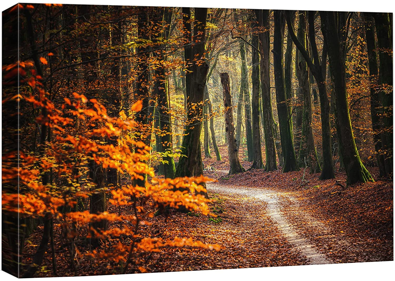 wall26 Canvas Print Wall Art Autumn Fall Orange Leaf Forest Tree Trail ...