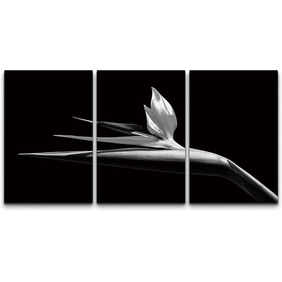 wall26 Canvas Print Wall Art Black and White Birds of Paradise Flower Nature Plants Photography Modern Art Mid-Century Modern Close-Up for Living Room, Bedroom, Office - 24"x36" x 3 Panels