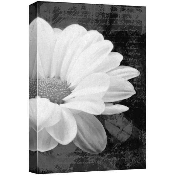 wall26 Canvas Print Wall Art Black &amp; White Daisy &amp; Cursive Typography Floral Botanical Photography Modern Art Rustic Scenic Relax/Calm Dark for Living Room, Bedroom, Office - 12"x18&quot