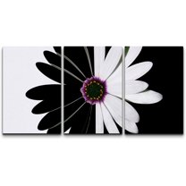 wall26 Canvas Print Wall Art Black & White Daisy with Purple Center Floral Botanical Photography Modern Bohemian Relax/Calm Multicolor Colorful for Living Room, Bedroom, Office - 16"x24"