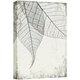 thumbnail image 1 of wall26 Canvas Print Wall Art Black &amp; White Grunge Transparent Leaf Set Nature Plants Digital Art Modern Art Rustic Dramatic Dark Duotone for Living Room, Bedroom, Office - 16"x24", 1 of 7