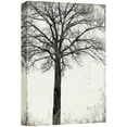thumbnail image 1 of wall26 Canvas Print Wall Art Black &amp; White Grunge Tree Silhouette Nature Plants Digital Art Modern Art Rustic Dramatic Dark Duotone for Living Room, Bedroom, Office - 12"x18", 1 of 7