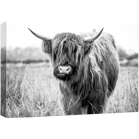 wall26 Canvas Print Wall Art Black &amp; White Shaggy Ox Portrait Animals Wilderness Photography Realism Rustic Scenic Relax/Calm Multicolor for Living Room, Bedroom, Office - 32"x48"