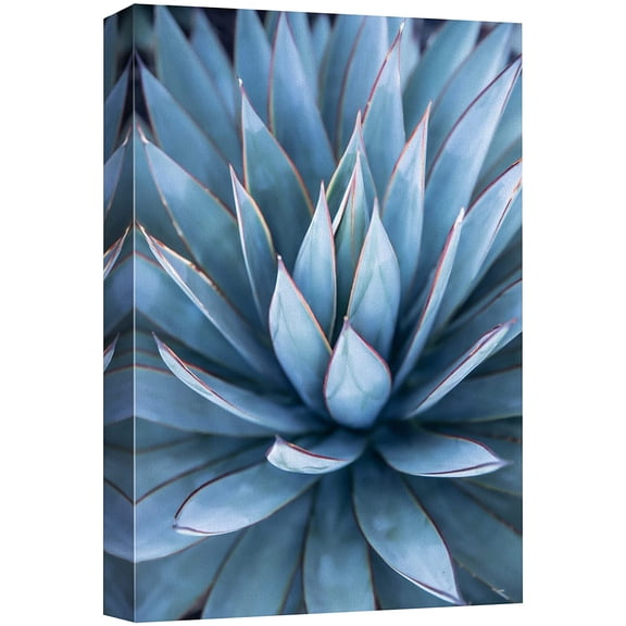 wall26 Canvas Print Wall Art Blue Pastel Agave Desert Cactus Succulent Nature Wilderness Photography Realism Floral Botanical Multicolor for Living Room, Bedroom, Office - 32"x48"