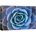thumbnail image 1 of wall26 Canvas Print Wall Art Blue Purple Desert Echeveria Succulent Nature Floral Photography Realism Botanical Wilderness Zen Rustic Colorful Decorative for Living Room, Bedroom, Office - 16"x2, 1 of 5