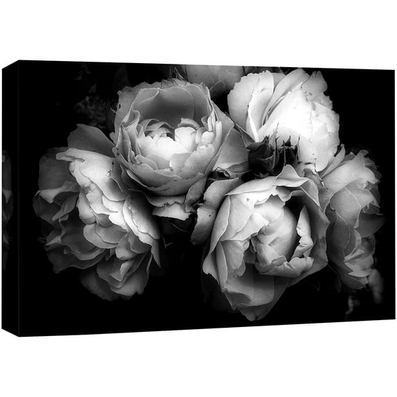 wall26 Canvas Print Wall Art Bouquet of Chinese Rose Flowers Floral Plants Photography Modern Art Rustic Closeup Dramatic Duotone Dark Black and White for Living Room, Bedroom, Office - 24"x36&q