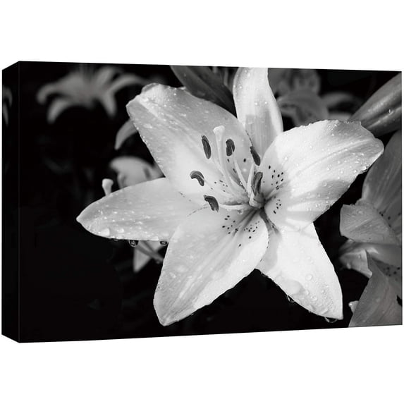 wall26 Canvas Print Wall Art Bouquet of Lily Flowers Floral Plants Photography Modern Art Rustic Closeup Dramatic Duotone Dark Black and White for Living Room, Bedroom, Office - 12"x18"