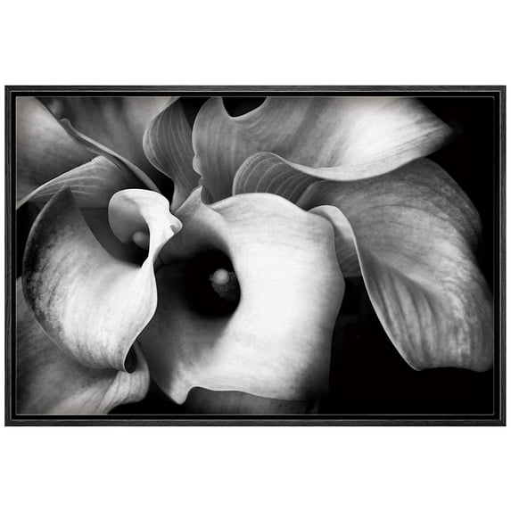 wall26 Canvas Print Wall Art Calla Lily Flower Bouquet Floral Plants Photography Modern Art Rustic Closeup Dramatic Duotone Dark Black and White for Living Room, Bedroom, Office - 24"x36" B
