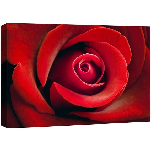 wall26 Canvas Print Wall Art Close Up Detail Red Romantic Rose Flower Nature Floral Photography Realism Botanical Wilderness Zen Rustic Colorful Decorative for Living Room, Bedroom, Office - 32"
