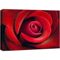 wall26 Canvas Print Wall Art Close Up Detail Red Romantic Rose Flower Nature Floral Photography Realism Botanical Wilderness Zen Rustic Colorful Decorative for Living Room, Bedroom, Office - 32"