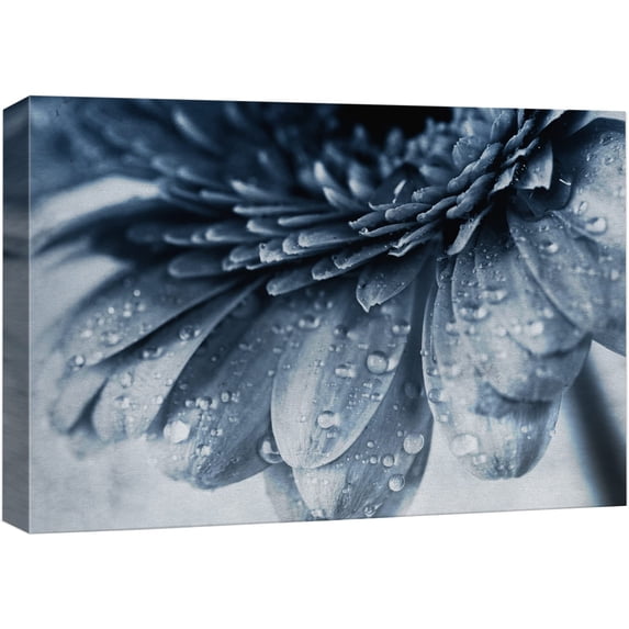wall26 Canvas Print Wall Art Close Up of Duotone Blue Gerbera Daisy Floral Botanical Photography Modern Art Chic Scenic Colorful Nature Wilderness for Living Room, Bedroom, Office - 24"x36"