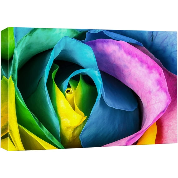 wall26 Canvas Print Wall Art Close Up Detail of Rainbow Rose Petals Floral Botanical Photography Modern Art Chic Scenic Colorful Nature Wilderness for Living Room, Bedroom, Office - 24"x36"