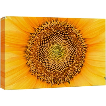 wall26 Canvas Print Wall Art Close Up Detail Spring Summer Sunflower Nature Floral Photography Realism Botanical Wilderness Zen Rustic Colorful Decorative for Living Room, Bedroom, Office - 12&quot;x