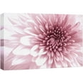 thumbnail image 1 of wall26 Canvas Print Wall Art Close Up Details of Pink Chrysanthemum Flowers Floral Botanical Photography Modern Art Chic Scenic Colorful Nature Wilderness for Living Room, Bedroom, Office - 24"x, 1 of 7