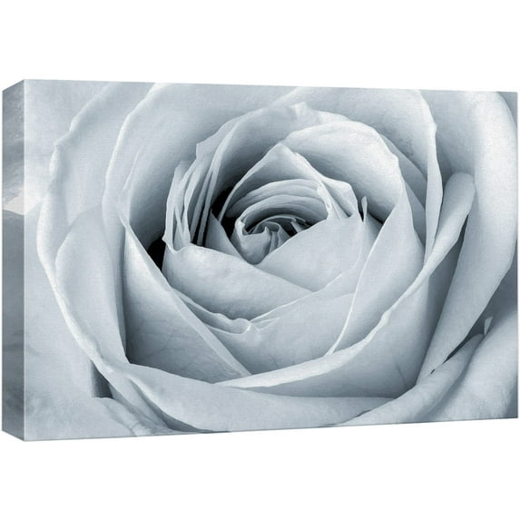 wall26 Canvas Print Wall Art Close Up Details of White Rose Flower Floral Botanical Photography Modern Art Chic Scenic Colorful Nature Wilderness for Living Room, Bedroom, Office - 24"x36"