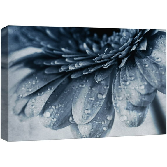 wall26 Canvas Print Wall Art Close Up of Duotone Blue Gerbera Daisy Floral Botanical Photography Modern Art Chic Scenic Colorful Nature Wilderness for Living Room, Bedroom, Office - 12"x18"