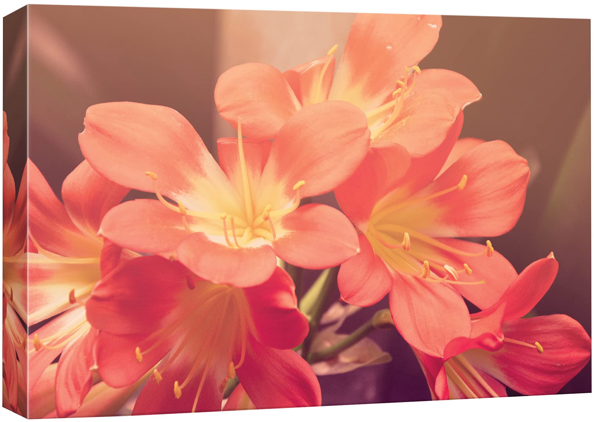 wall26 Canvas Print Wall Art Close Up of Red & Yellow Lotus Flowers ...