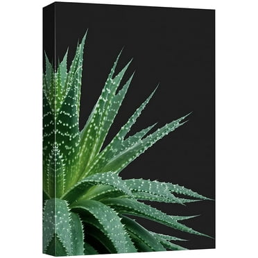 wall26 Canvas Print Wall Art Close Up Striped Green Desert Snake Succulent Nature Wilderness Photography Realism Floral Botanical Multicolor for Living Room, Bedroom, Office - 32&quot;x48&quot;