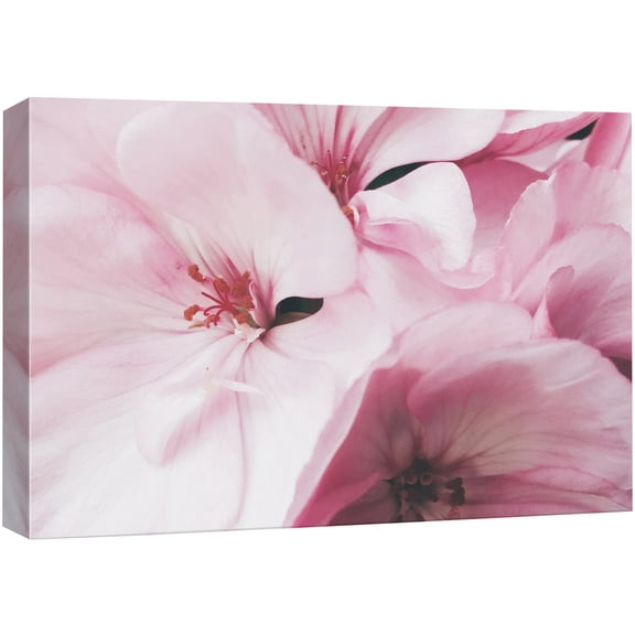 wall26 Canvas Print Wall Art Closeup of Pink Flower Petals Nature Wilderness Photography Modern Art Rustic Scenic Colorful Multicolor for Living Room, Bedroom, Office - 24"x36"