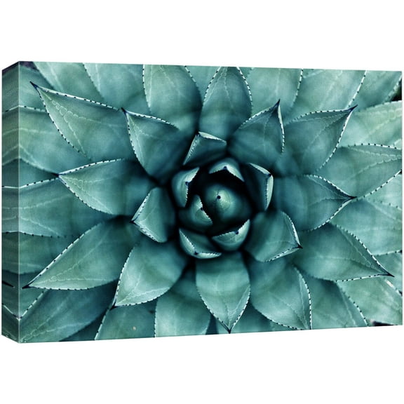 wall26 Canvas Print Wall Art Closeup of Teal Rose Succulent Floral Plants Photography Realism Rustic Scenic Colorful Multicolor Ultra for Living Room, Bedroom, Office - 16"x24"