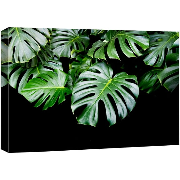 wall26 Canvas Print Wall Art Dark Tropical Island Jungle Monstera Leaf Nature Floral Photography Realism Botanical Wilderness Zen Rustic Colorful Decorative for Living Room, Bedroom, Office - 24&quot