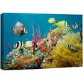 thumbnail image 1 of wall26 Canvas Print Wall Art Deep Sea Marine Fish with Coral Reef Nature Ocean Photography Realism Nautical Scenic Relax/Calm Multicolor Ultra for Living Room, Bedroom, Office - 32"x48", 1 of 5