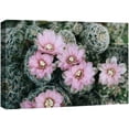 thumbnail image 1 of wall26 Canvas Print Wall Art Desert Southwest Ball Cactus Pink Flowers Nature Floral Photography Realism Botanical Wilderness Zen Rustic Colorful Decorative for Living Room, Bedroom, Office - 12&quot, 1 of 5