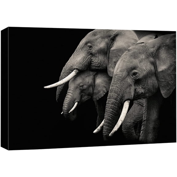 wall26 Canvas Print Wall Art Duotone Dark Elephant Family Trio Portrait Nature Animals Photography Realism Rustic Scenic Landscape Wilderness Zen Colorful for Living Room, Bedroom, Office - 12"x