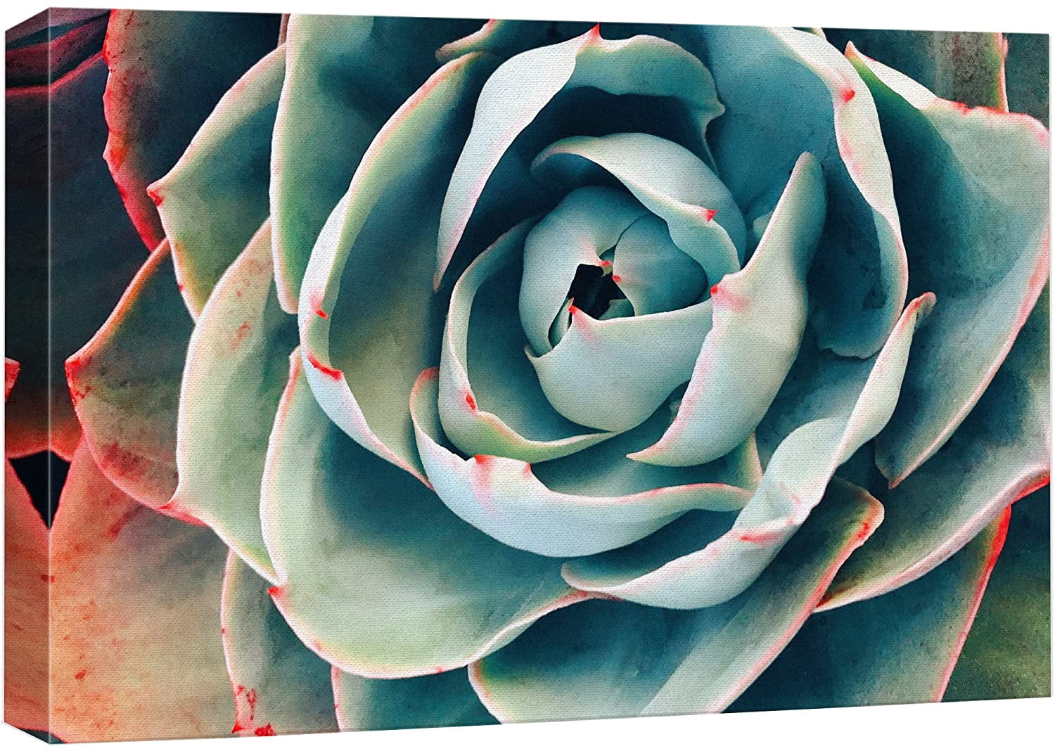 wall26 Canvas Print Wall Art Duotone Detail Green Red Succulent Cactus ...