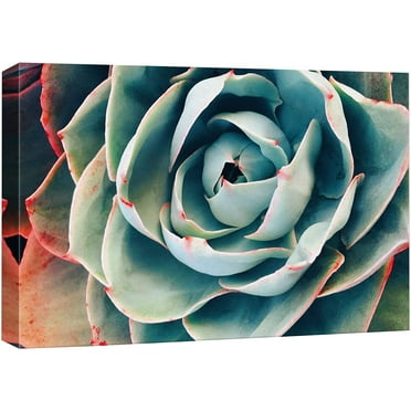 wall26 Canvas Print Wall Art Duotone Detail Green Red Succulent Cactus Nature Floral Photography Realism Botanical Wilderness Zen Rustic Colorful Decorative for Living Room, Bedroom, Office - 12&quot