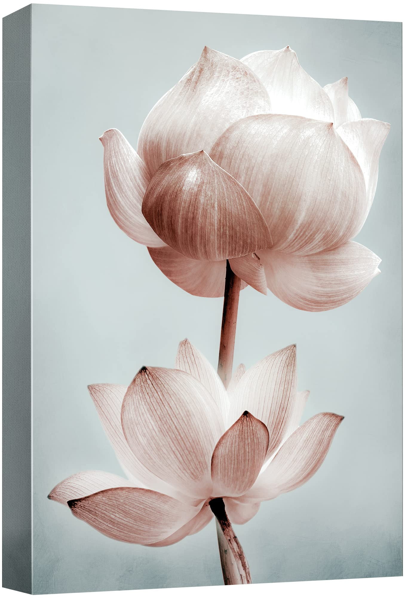 wall26 Canvas Print Wall Art Film Grain Effect Light Pink Lotus Flower ...