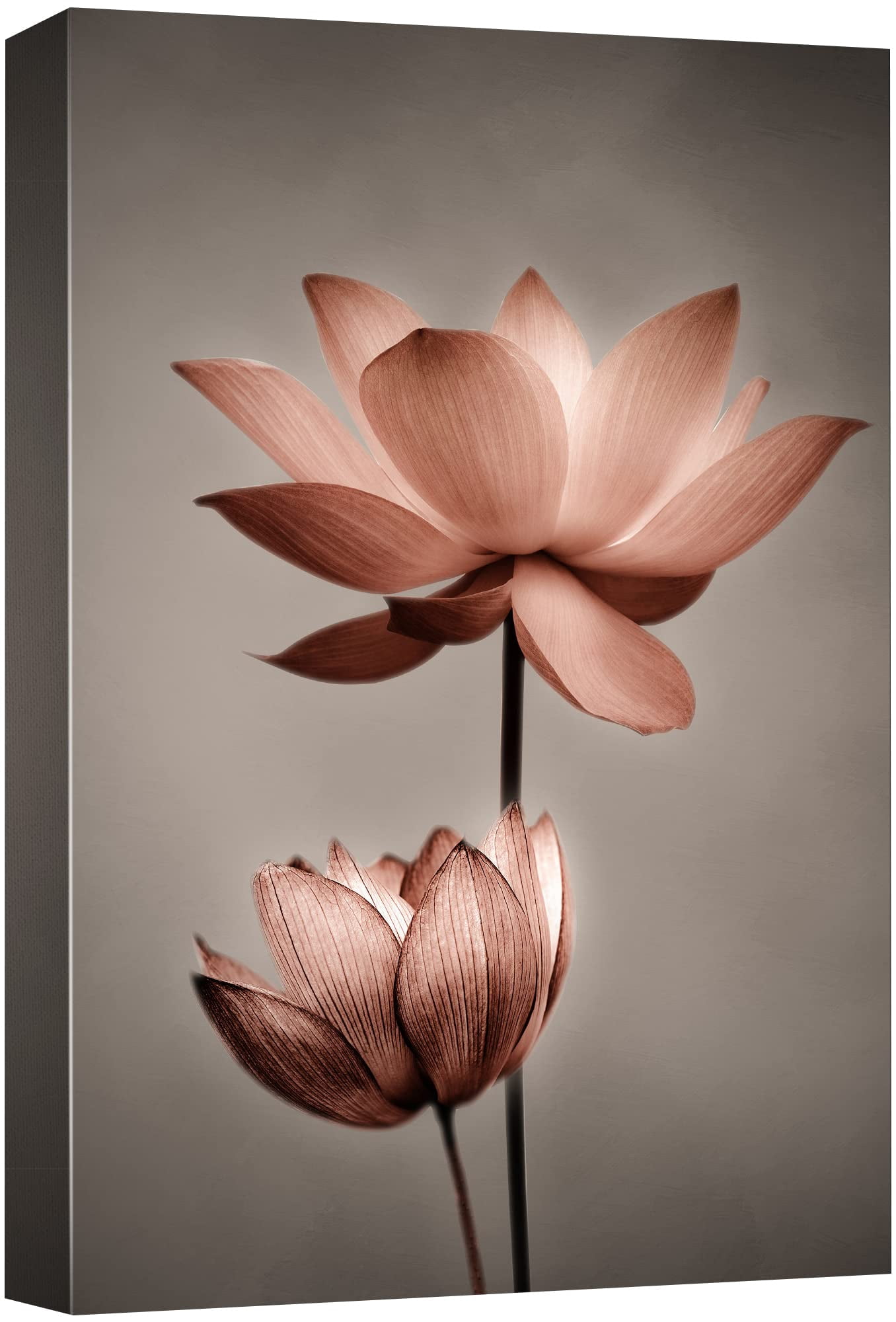 wall26 Canvas Print Wall Art Film Grain Effect Pink Lotus Duo Floral ...