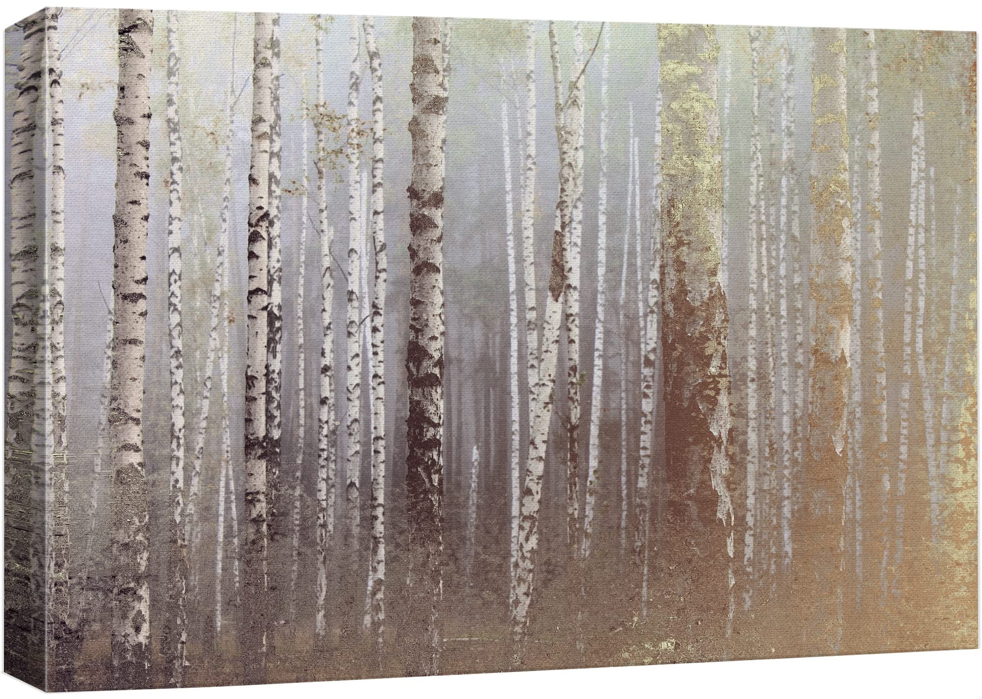 wall26 Canvas Print Wall Art Foggy Autumn White Birch Tree Forest ...