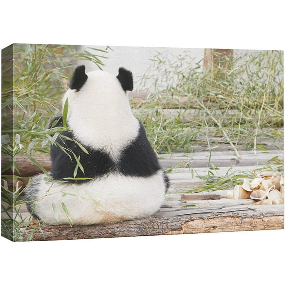 wall26 Canvas Print Wall Art Forest Wetland Safari Panda Bear Portrait Nature Animals Photography Realism Rustic Scenic Landscape Wilderness Zen Colorful for Living Room, Bedroom, Office - 24"x3