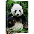 thumbnail image 1 of wall26 Canvas Print Wall Art Giant Panda Chewing on Bamboo Shoot Animals Wildlife Photography Modern Art Tropical Scenic Relax/Calm Multicolor Colorful for Living Room, Bedroom, Office - 16"x24&, 1 of 5