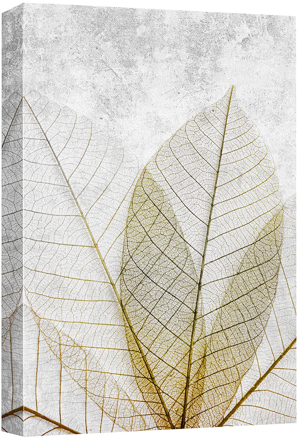 wall26 Canvas Print Wall Art Gold Transparent Detail Forest Leaf Collage Nature  Wilderness Illustrations Modern Art Bohemian Scenic Relax/Calm Multicolor  for Living Room, Bedroom, Office 16quot;x2