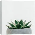 thumbnail image 1 of wall26 Canvas Print Wall Art Green Succulent in Gray Pot Nature Wilderness Photography Realism Chic Scenic Relax/Calm Multicolor for Living Room, Bedroom, Office - 12"x12", 1 of 5