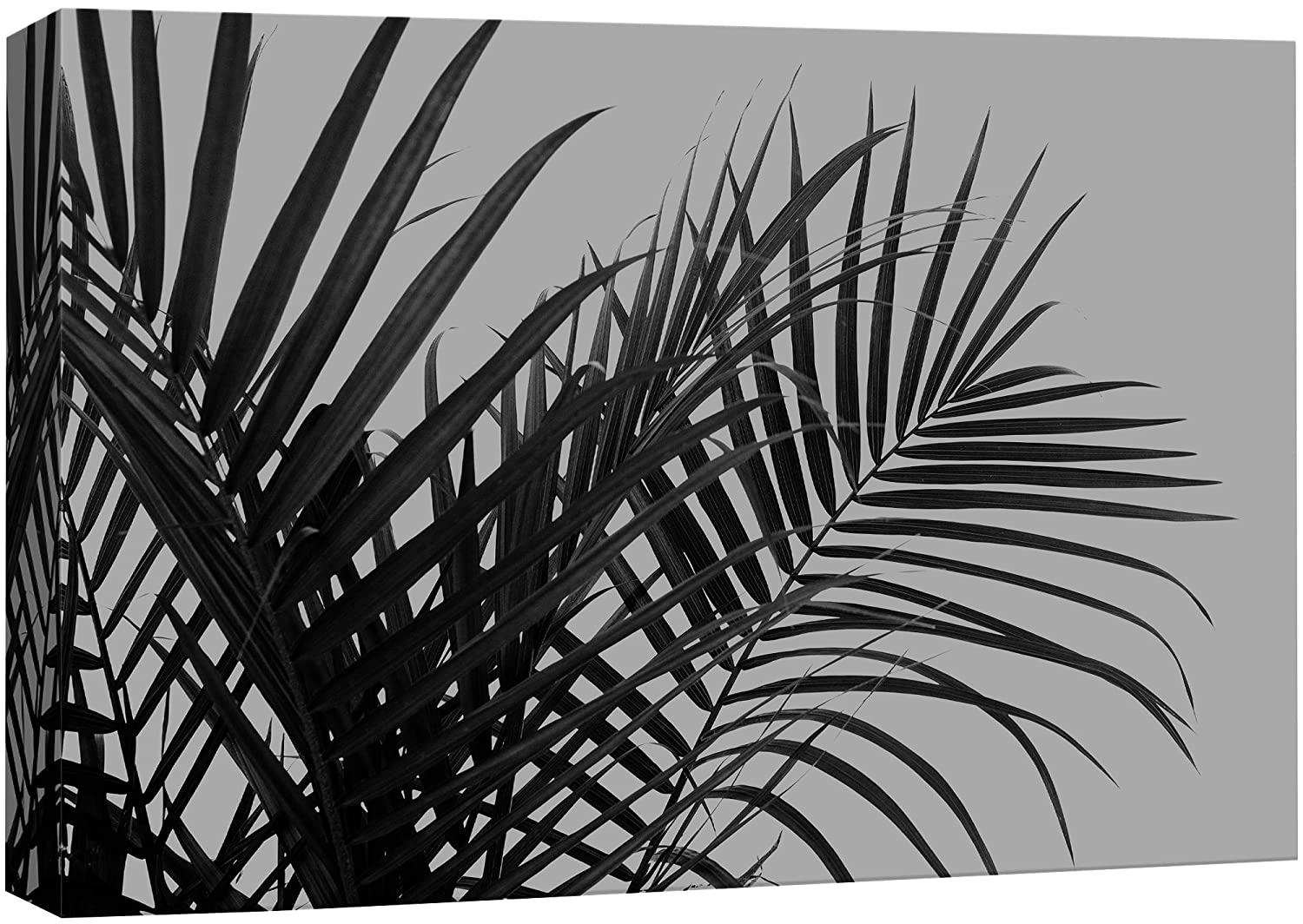 wall26 Canvas Print Wall Art Greyscale Palm Tree Leaf Collage Floral