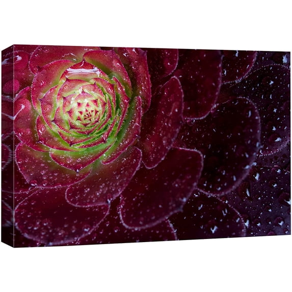 wall26 Canvas Print Wall Art High Contrast Vibrant Red Lilypad Cactus Nature Floral Photography Realism Botanical Wilderness Zen Rustic Colorful Decorative for Living Room, Bedroom, Office - 24"