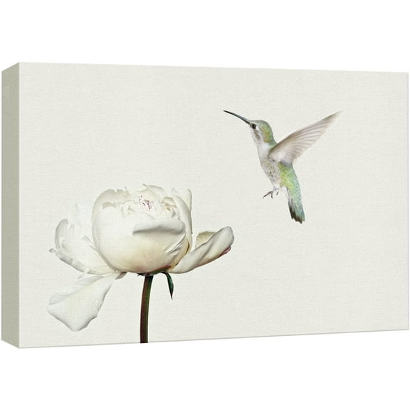 wall26 Canvas Print Wall Art Hummingbird Flies On White Carnation Flower Animals Wildlife Photography Realism Rustic Scenic Nature Chic Colorful for Living Room, Bedroom, Office - 16"x24"