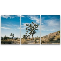 wall26 Canvas Print Wall Art Joshua Tree Desert National Park Landscape Nature Wilderness Photography Modern Art Rustic Scenic Relax/Calm Multicolor for Living Room, Bedroom, Office - 16"x24&quo